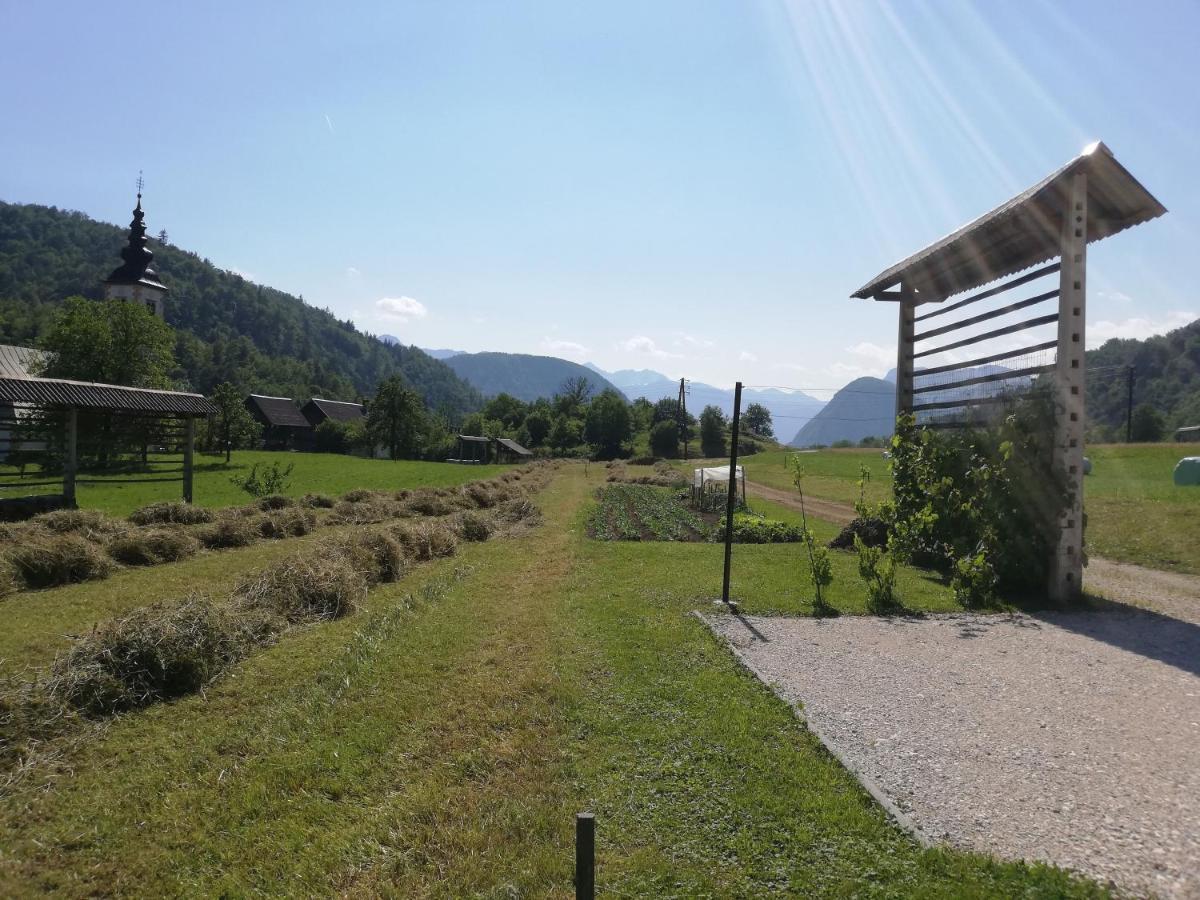 Soba Pri Bregarju Apartment Bohinj Exterior photo